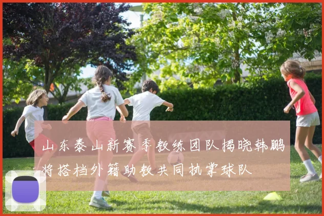 山东泰山新赛季教练团队揭晓韩鹏将搭档外籍助教共同执掌球队