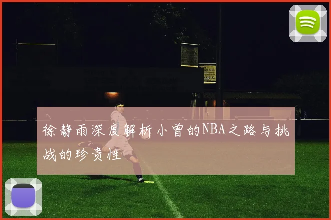 徐静雨深度解析小曾的NBA之路与挑战的珍贵性