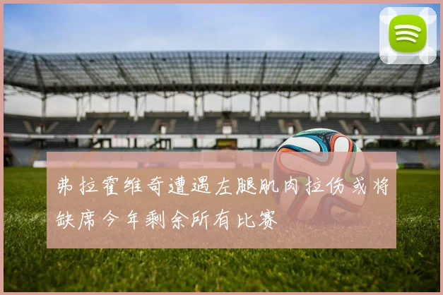 弗拉霍维奇遭遇左腿肌肉拉伤或将缺席今年剩余所有比赛