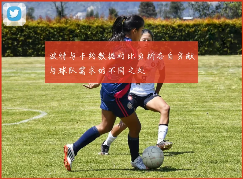 波特与卡约数据对比分析各自贡献与球队需求的不同之处